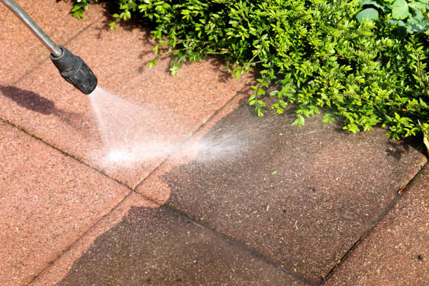 Professional Pressure Washing in Pikesville, MD